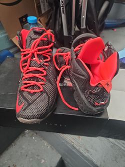 LeBron 12