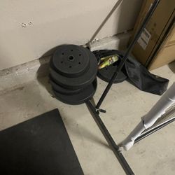 Assorted Workout Equipment