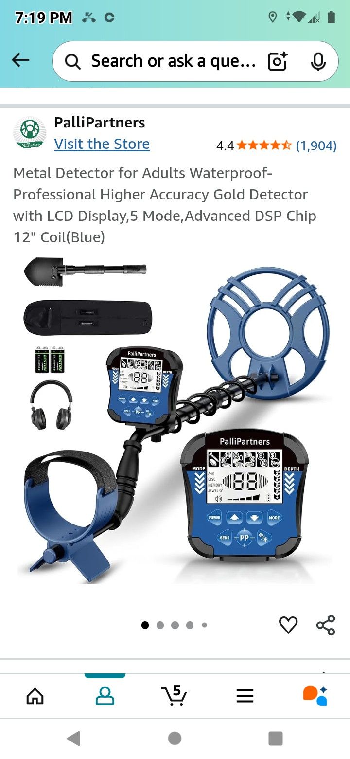Metal Detector