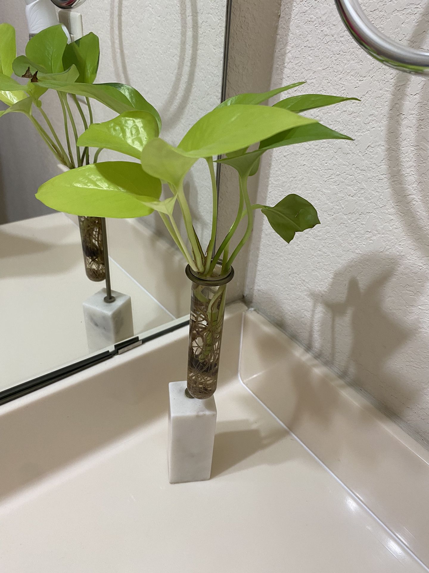 Small Plant/flower With Stand