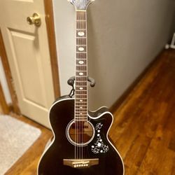 Takamine Guitar