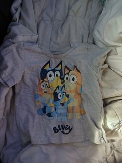 2t bluey shirt