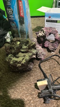 Kessil LED fish light w/ LARGE LIVE rocks aquarium