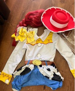 Toy Story Jessi costume