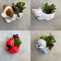 Animal Planters