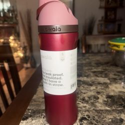 Limited Edition 24oz Metallic Poinsettia Owala Water Bottle