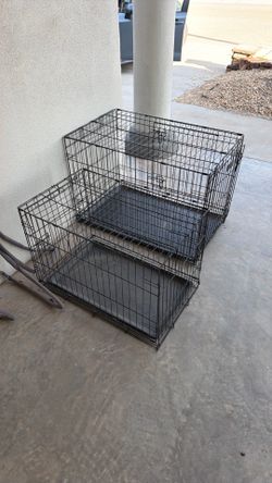 Kennels