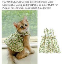 Cat Kitty Dresses 