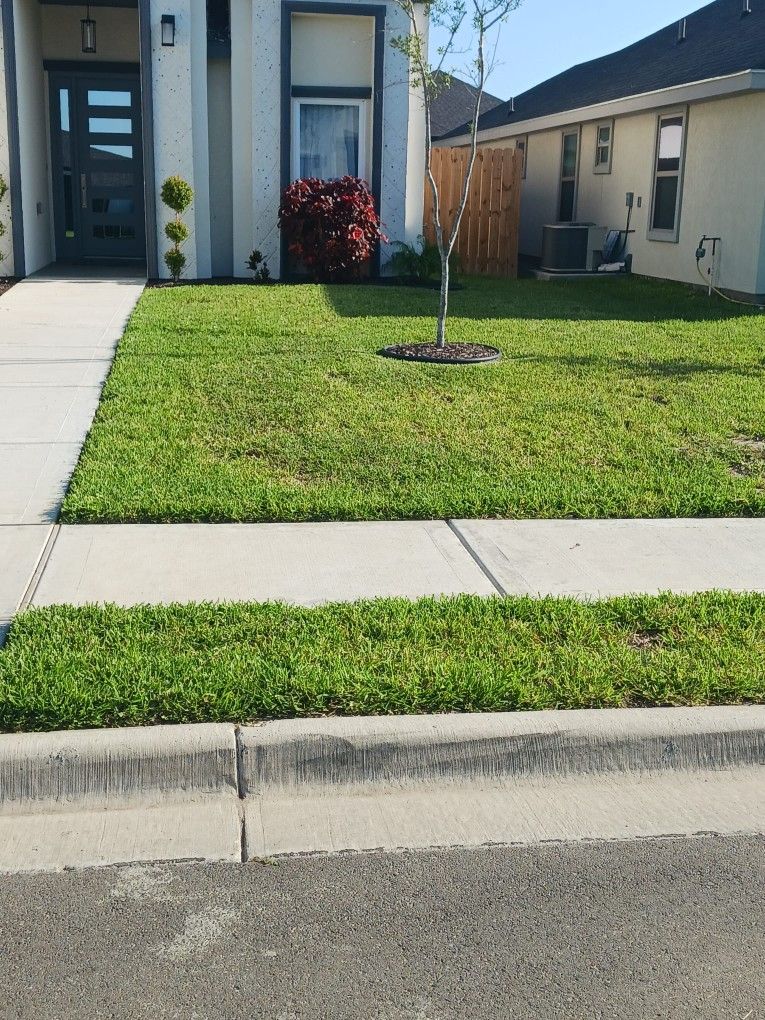 Lawn Mower