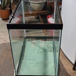 Small Aquarium/Terrarium 