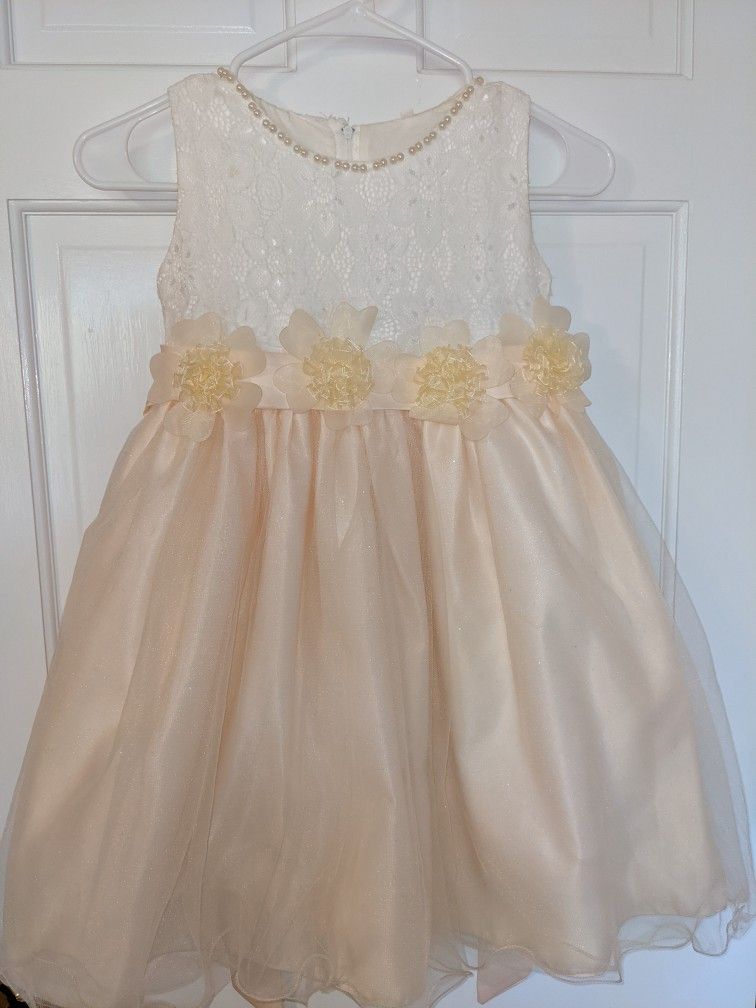 Wonderful Concert Dress!