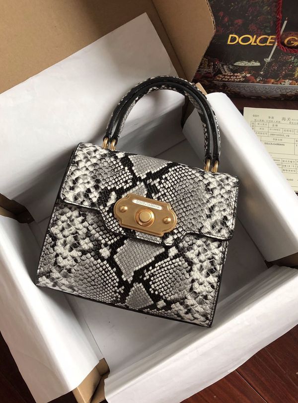D&G Handbag for Sale in Greensboro, NC - OfferUp