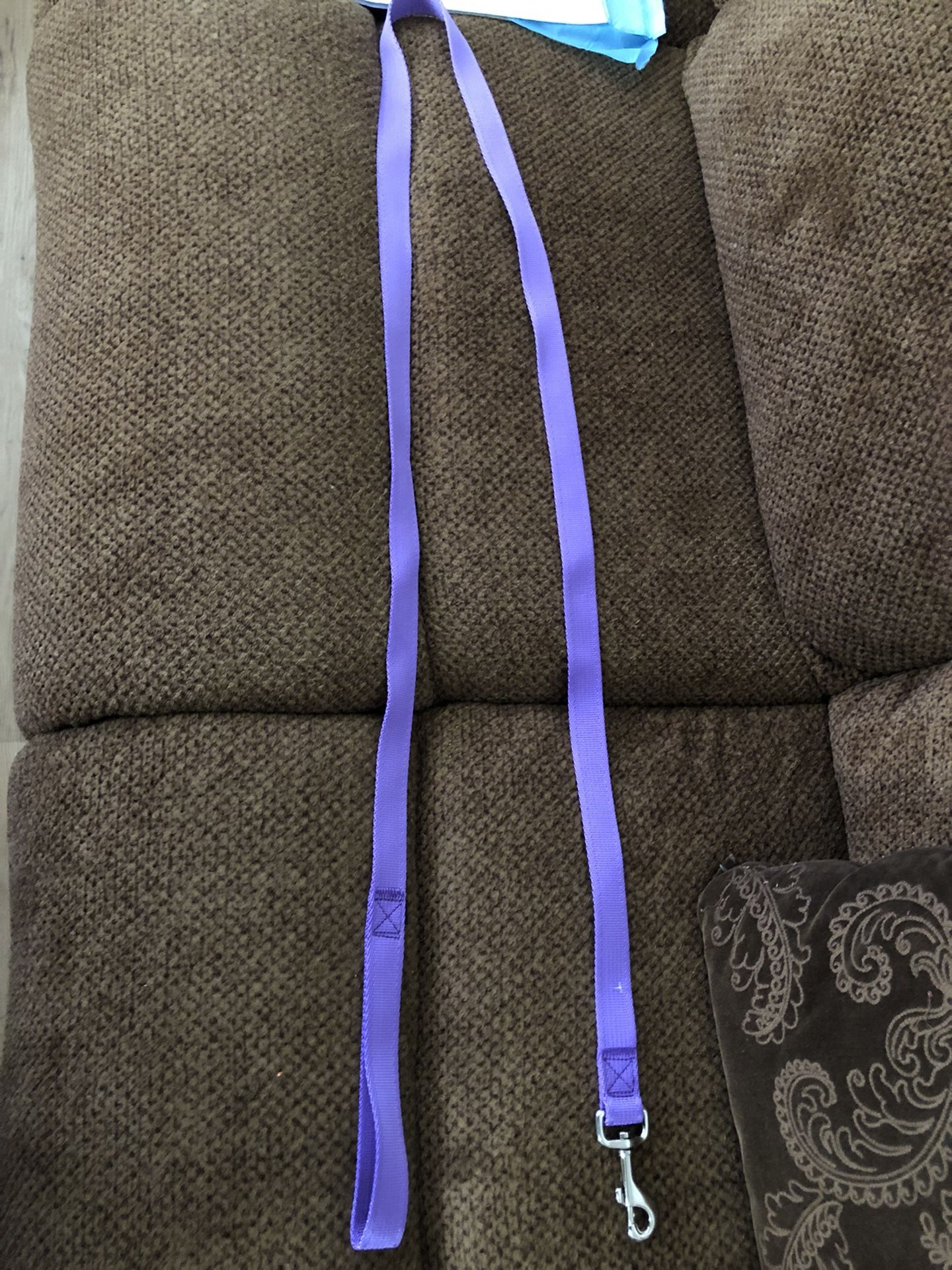 Dog Leash 6ft