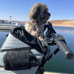 Dog Bike Carrier
