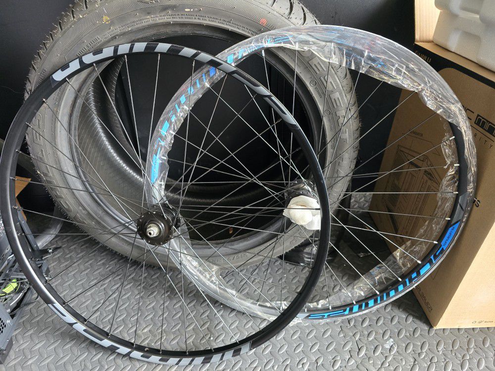 Shwinn Aluminum 29 Inch Bike Wheels