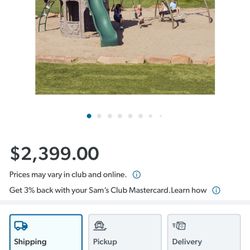 Lifetime Swing Set 