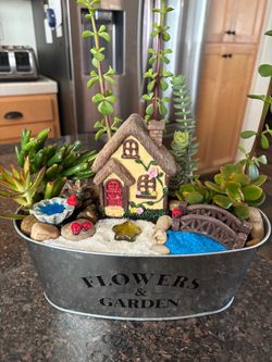Fairy Gardens with live succulents
