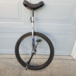 Unicycle
