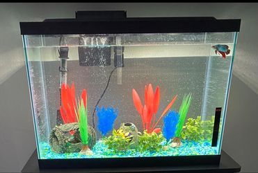 Fish Aquarium 20 Gallons 