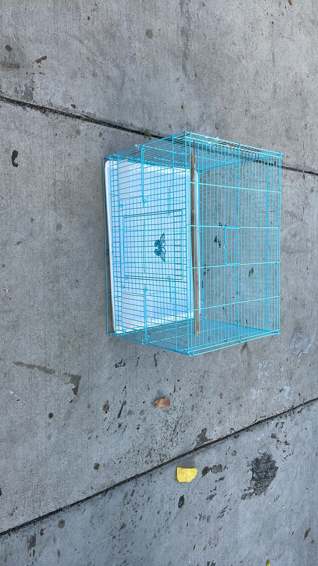 Blue Bird Cage