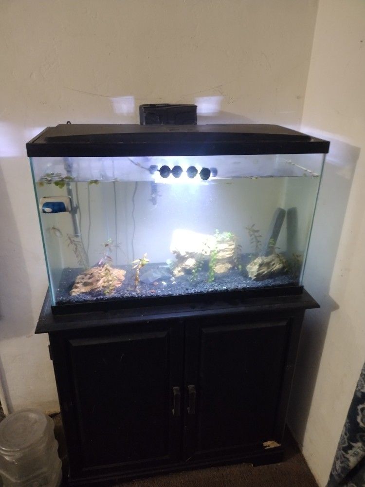 30 Gallon Fish Tank 