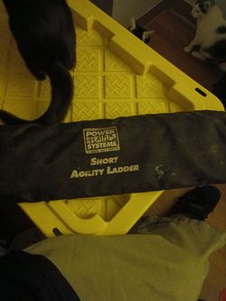 Agility ladder