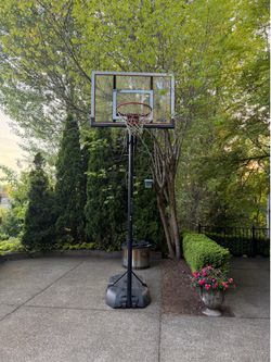 Lifetime portable basketball hoop