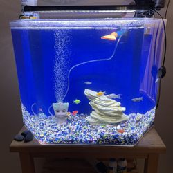 30 Gallon Fish Tank With Several Accessories 
