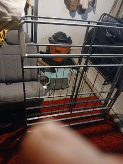 Folding bedbox sping