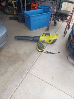 Ryobi chainsaw or blower or both