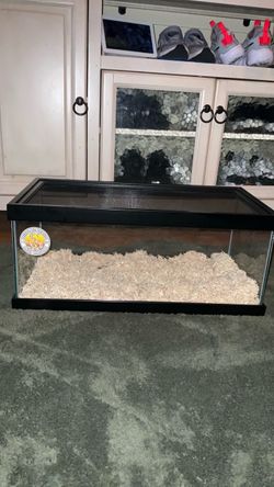 Brand new 20g tank