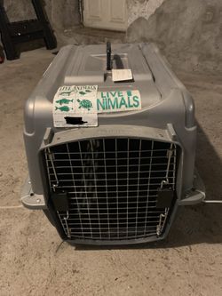 Pet Carrier