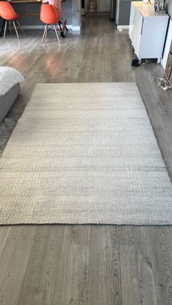 Pottery barn Jake natural fiber rug 5x8” floor sample
