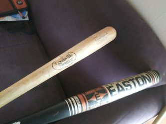 Bats