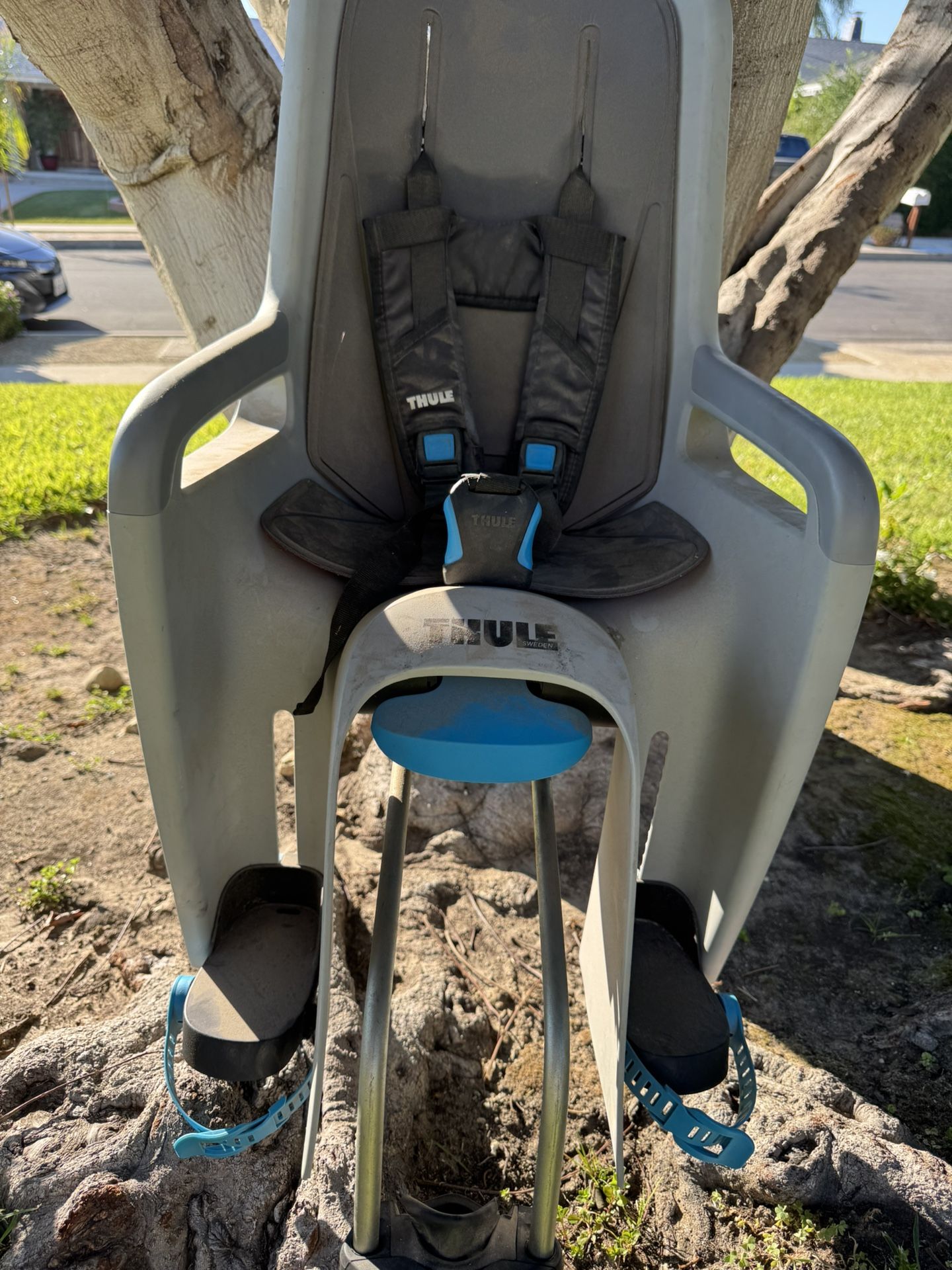 Thule Toddler’s Bike Seat