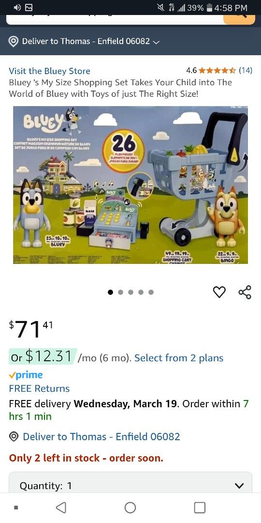 Bluey Shopping Set