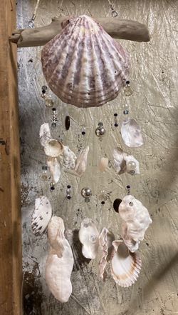 Seashell/Driftwood Wind Chime