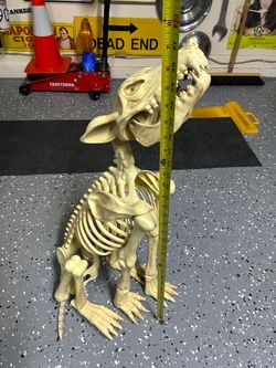 2.5 Ft Animated Skeleton Wolf with LED Eyes Halloween Animatronic