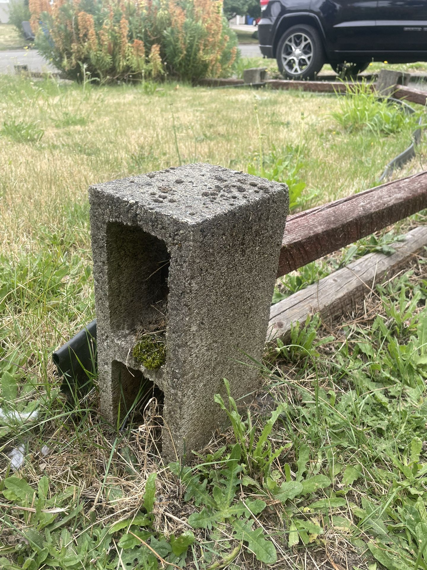 Free Cinder Block