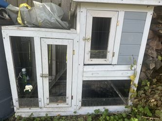 Cage And Softwood For Animals
