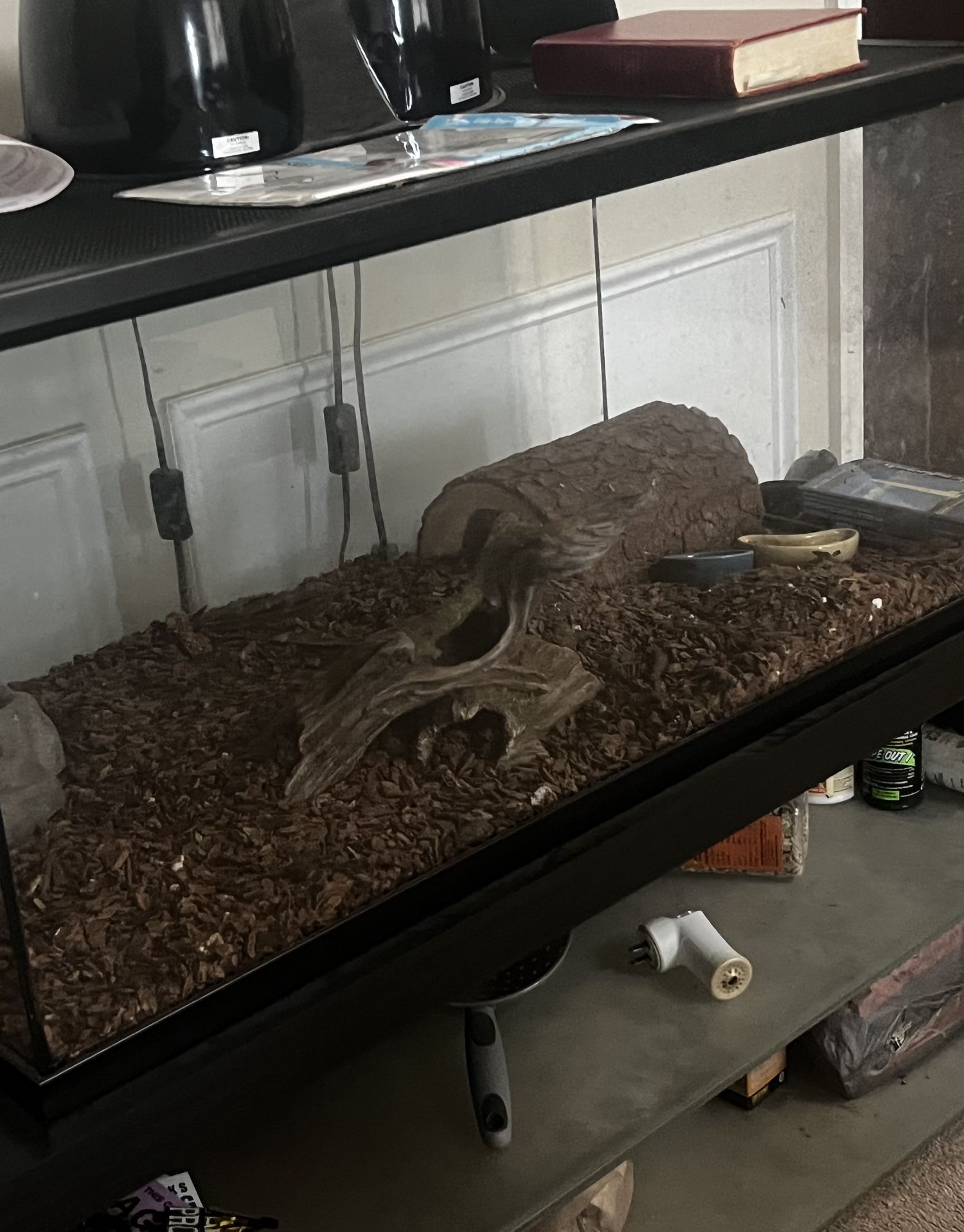 55. Gal Tank.
