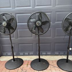 Selling 3 Fans