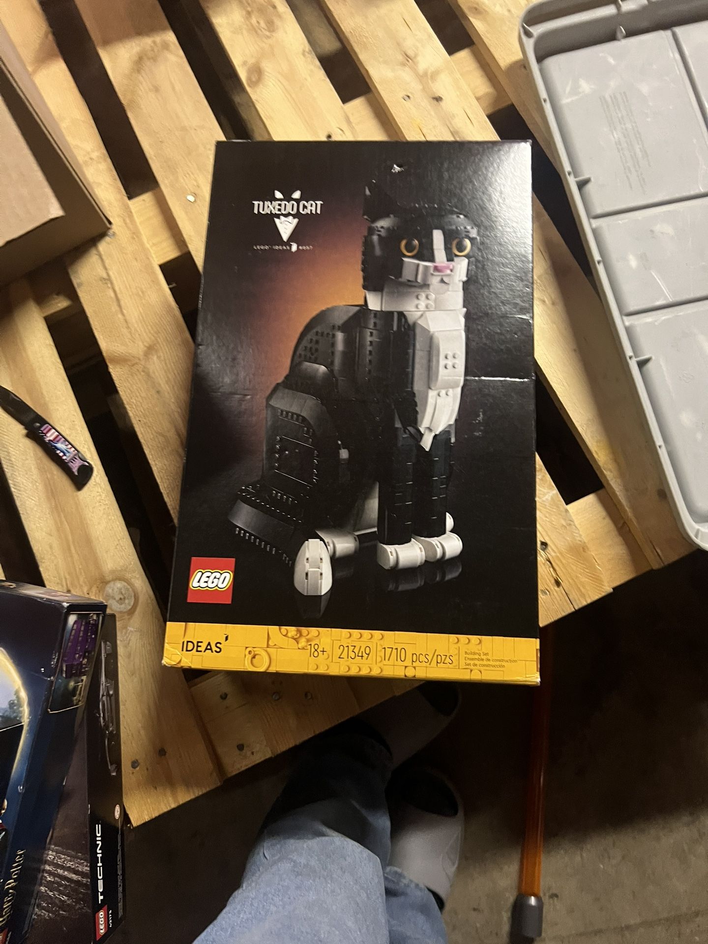 LEGO Ideas Tuxedo Cat set