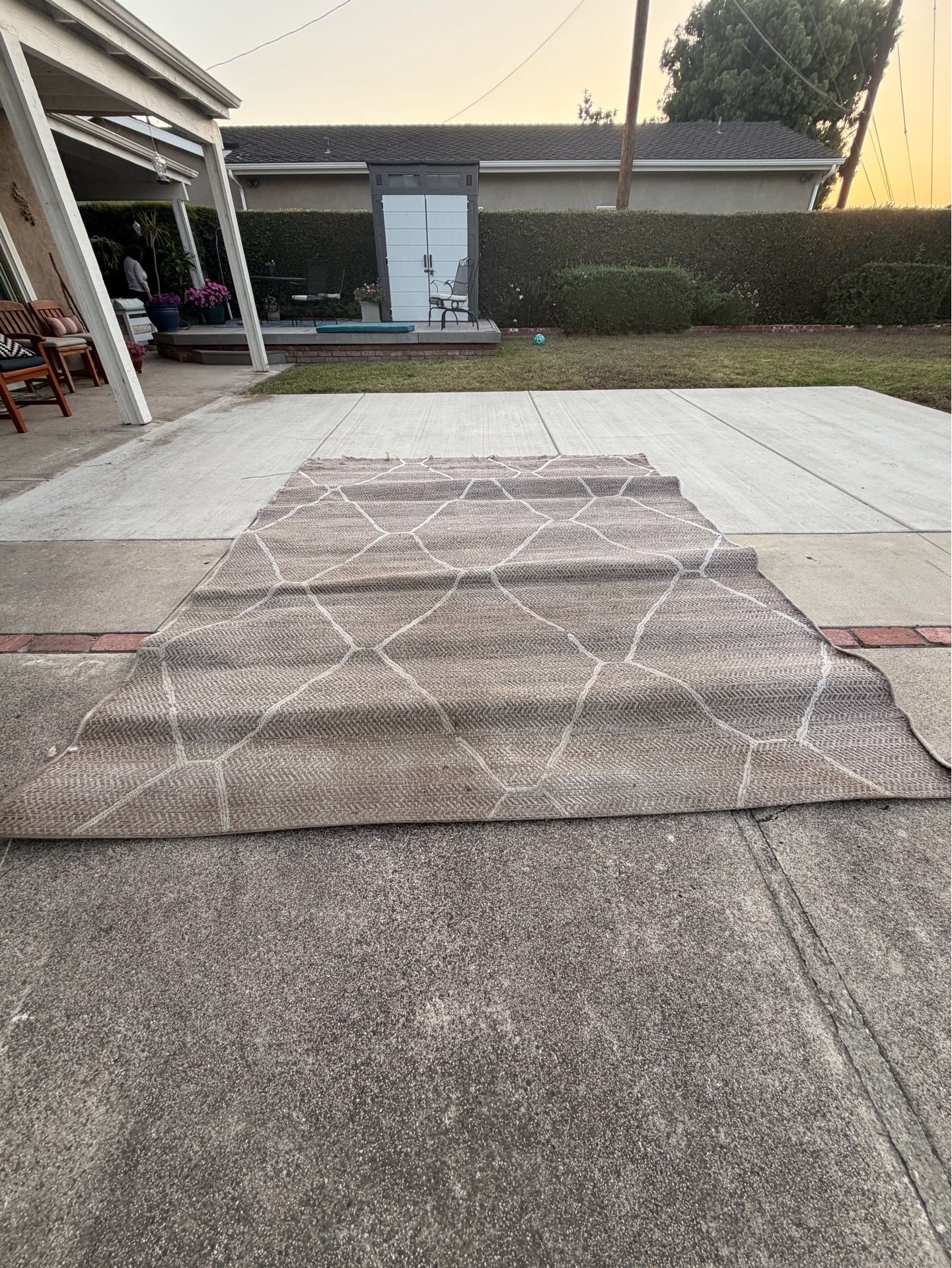 Free Outdoor Rug
