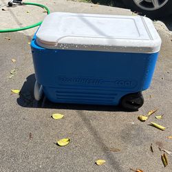 Igloo Wheelie - Cool 