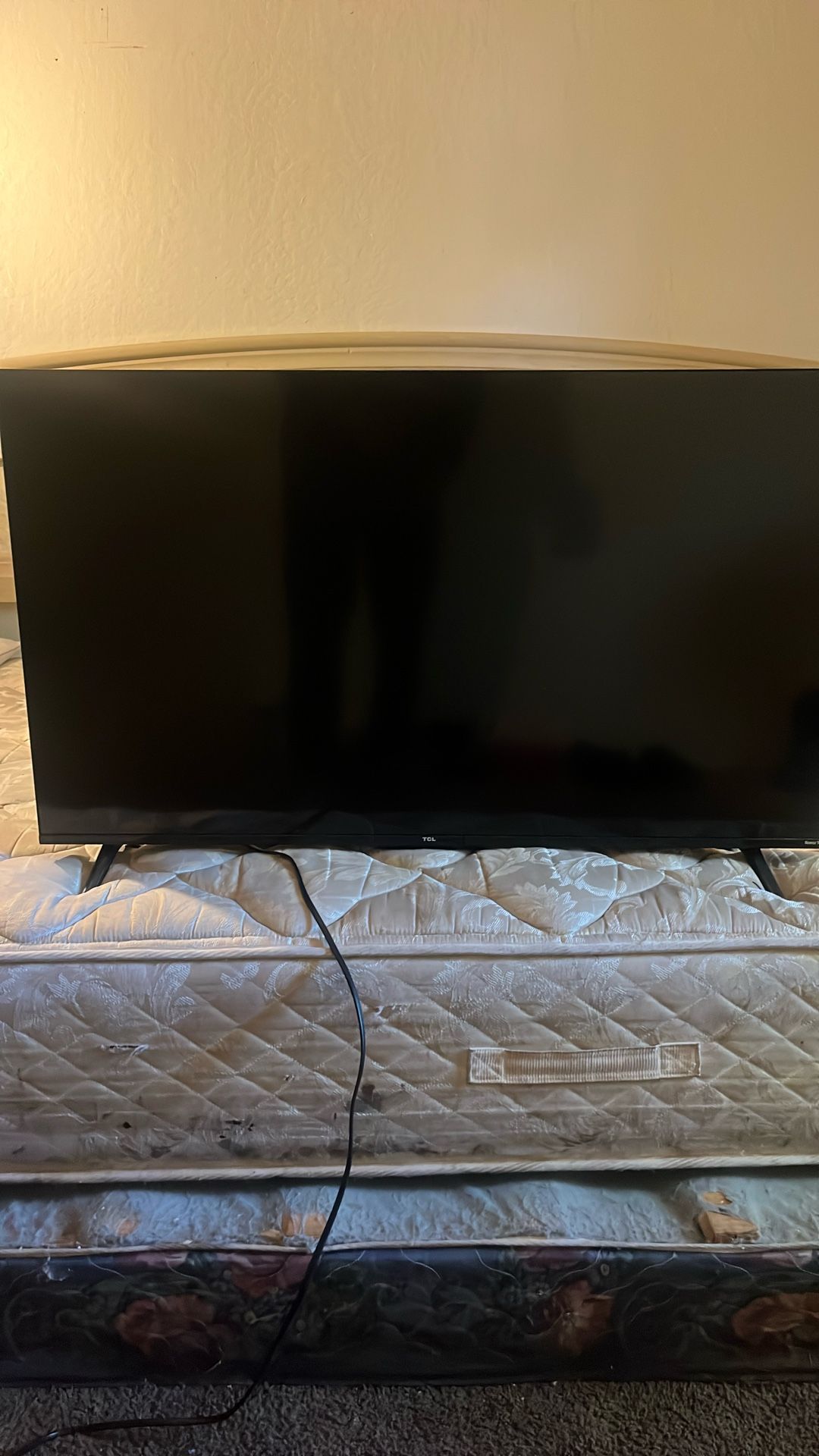 40’ TLC Television