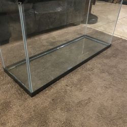 40 Gallon Fish Tank