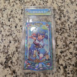 Chinese Pokemon Fanart Slab