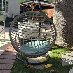 Cat Swing