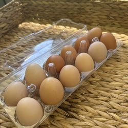 Fresh Eggs $7